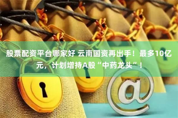 股票配资平台哪家好 云南国资再出手！最多10亿元，计划增持A股“中药龙头”！