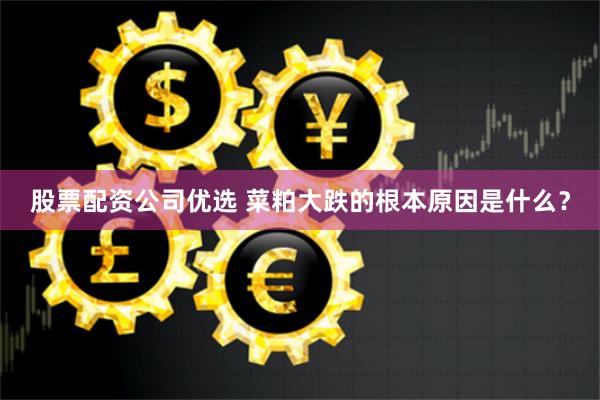 股票配资公司优选 菜粕大跌的根本原因是什么？