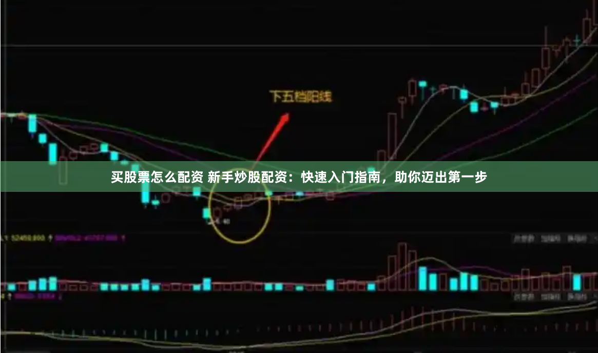 买股票怎么配资 新手炒股配资：快速入门指南，助你迈出第一步