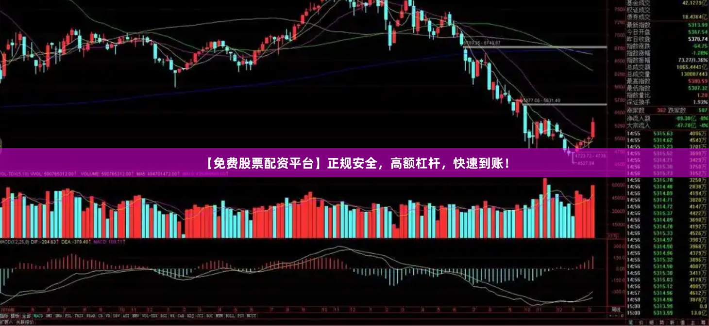 【免费股票配资平台】正规安全，高额杠杆，快速到账！